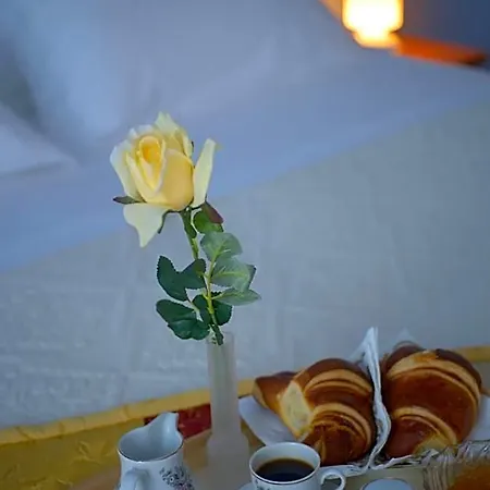 Iris 호텔 3*