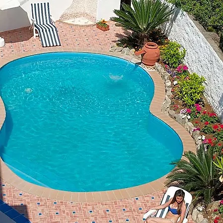 Iris 3*